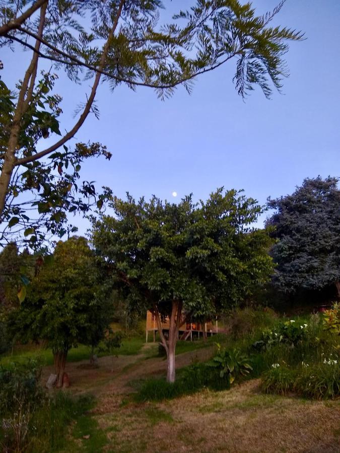 Cabana Agrreste (Adults Only) Nemocon ภายนอก รูปภาพ
